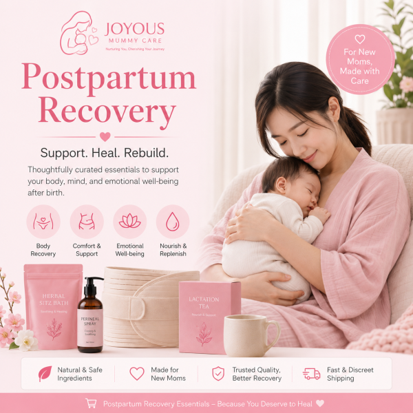 Postpartum Recovery Programme Postpartum Recovery Programme